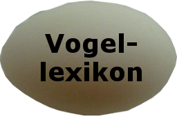 Vogellexikon